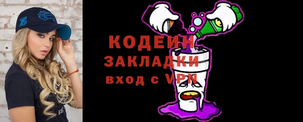 гашик Вяземский